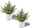 2 Pack Small Fake Plants Christmas Plants Eucalyptus Potted Artificial Plants for Home Indoor Fireplace Mantel Shelf Desk Home Bathroom Farmhouse Room