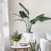 2 Pack Small Fake Plants Christmas Plants Eucalyptus Potted Artificial Plants for Home Indoor Fireplace Mantel Shelf Desk Home Bathroom Farmhouse Room
